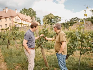 Thomas Mack und Mathieu Kauffmann betrachten die Weinreben des Château Ollwiller.