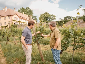 Thomas Mack und Mathieu Kauffmann betrachten die Weinreben des Château Ollwiller.