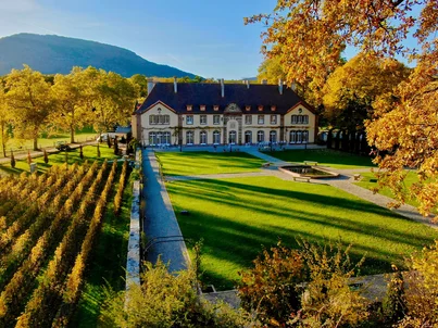 Das herbsltiche Gelände des Weinguts Château Ollwiller, umgeben von goldgelb gefärbten Bäumen und Weinreben.