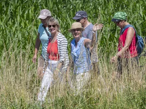Mauritia Mack beim Pilgern in der Natur zur "Muschel in Europa".