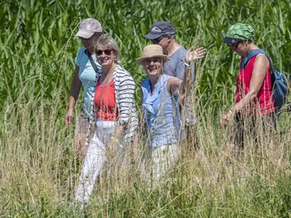 Mauritia Mack beim Pilgern in der Natur zur "Muschel in Europa".