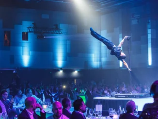 Ein Mann zeigt beeindruckende Akrobatik-Figuren an einer Stange.